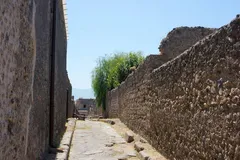 DSC4681