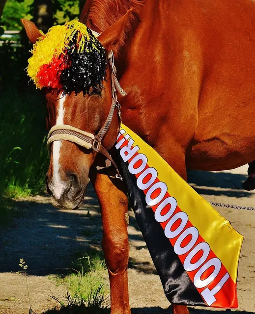 MondialiWC2018 (49)