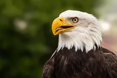 2012-05-24-111--240512
