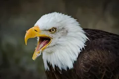 2012-06-03-590--030612