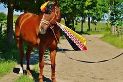 MondialiWC2018 (69)