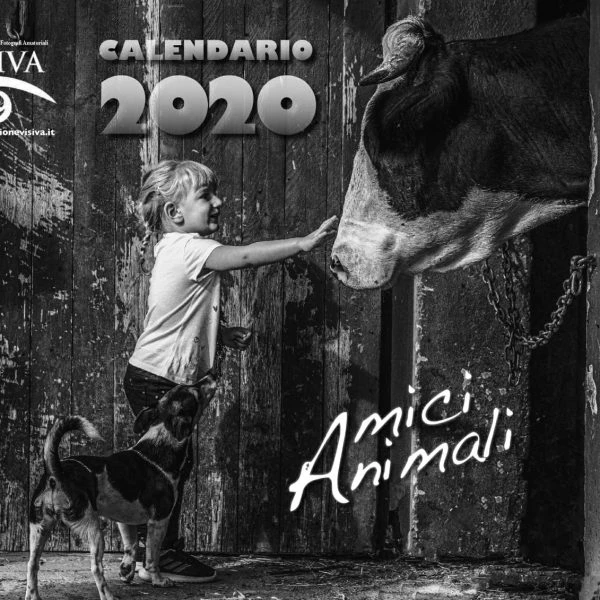 Calendario 2020 per Artis Onlus